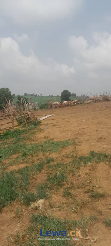 Salon de l'appartement